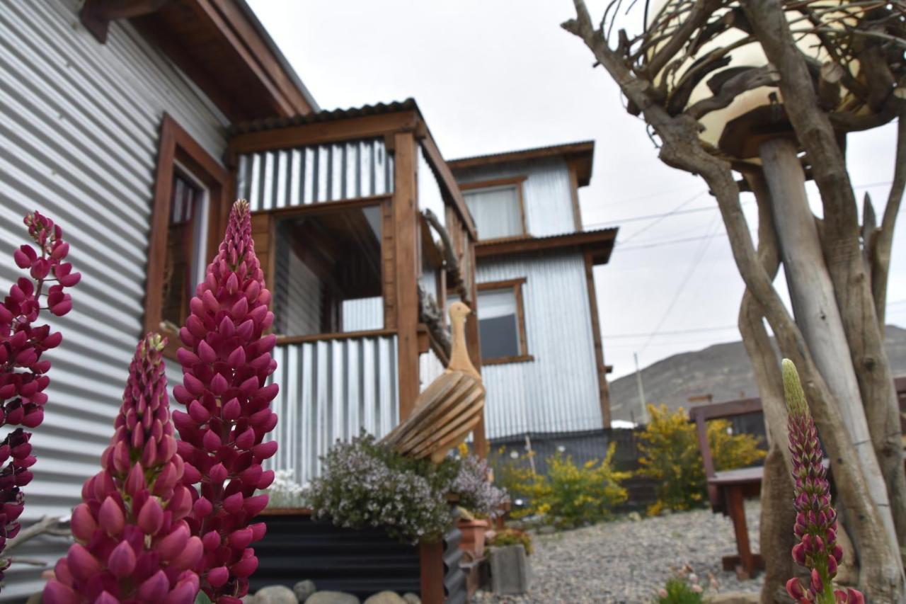 Nido De Luna El Calafate Ngoại thất bức ảnh